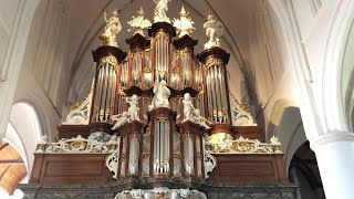 Psalm 103  Klaas Jan Mulder  Hendrik Jan van der Heiden  Hinsz  orgel Martinikerk Bolsward [upl. by Gleason]