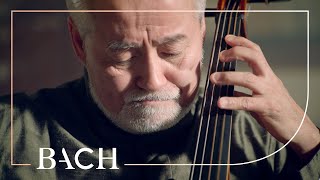 Bach  Cello Suite no 5 in C minor BWV 1011  Suzuki  Netherlands Bach Society [upl. by Dryden]