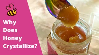 Why Does Honey Crystallize [upl. by Nomi]